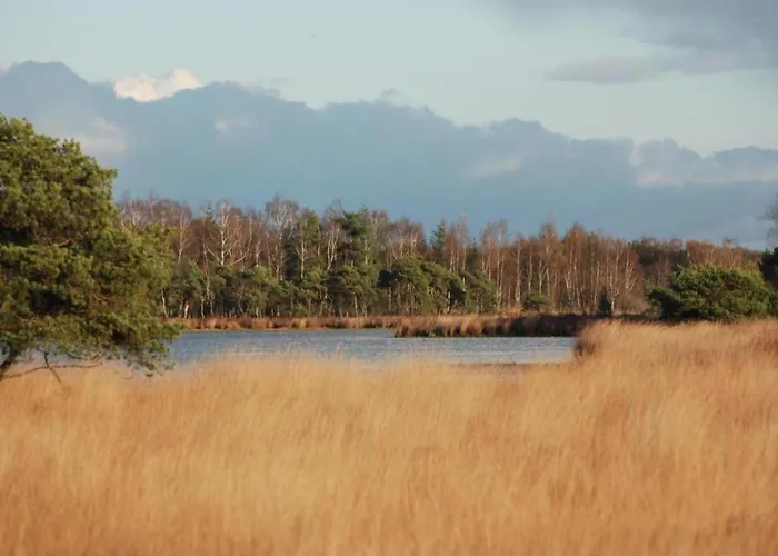By Pond With Sauna Chalet Veldhoven
