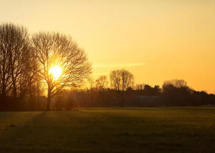 Chalet By Pond With Sauna *