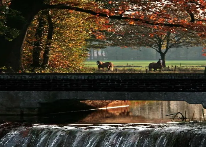 By Pond With Sauna *