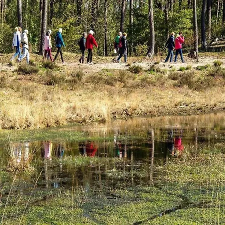 By Pond With Sauna Alpesi faház Veldhoven